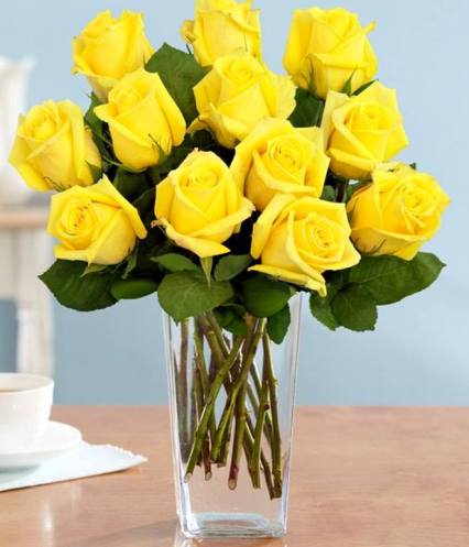Với những cánh hoa hồng vàng đẹp, mỗi bức ảnh đều tràn đầy sức sống và hi vọng. Hãy thưởng thức hình ảnh với những cánh hoa hồng vàng rực rỡ này, bạn sẽ cảm thấy được sự sảng khoái và niềm vui trong lòng.