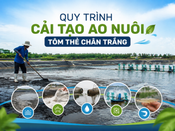 Kiến thức