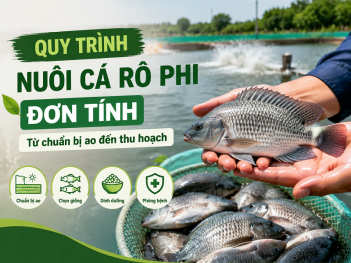 Kiến thức